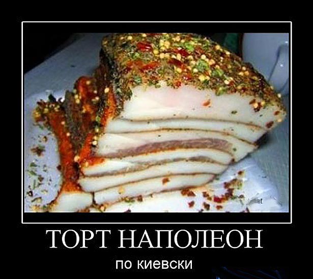 1270310532 494599 tort-napoleon