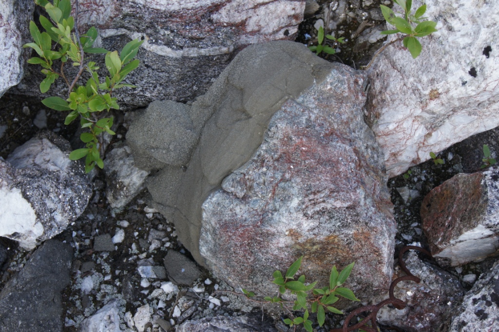 DSC03658