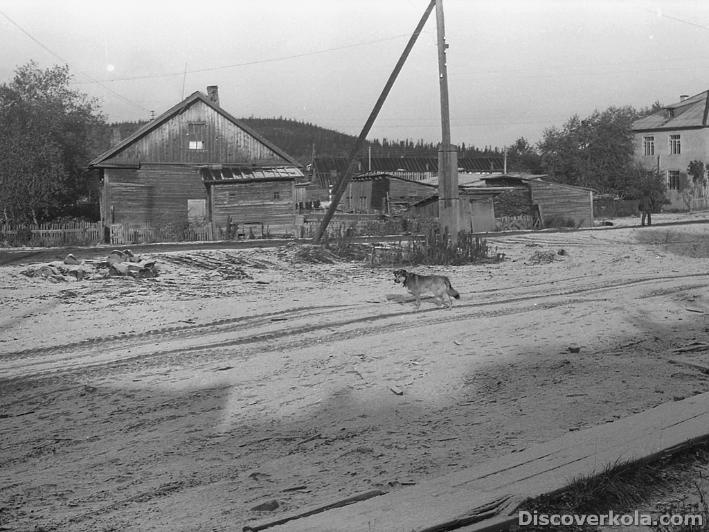 Теркий берег 1976: Умба, Оленица, Мыс Корабль 