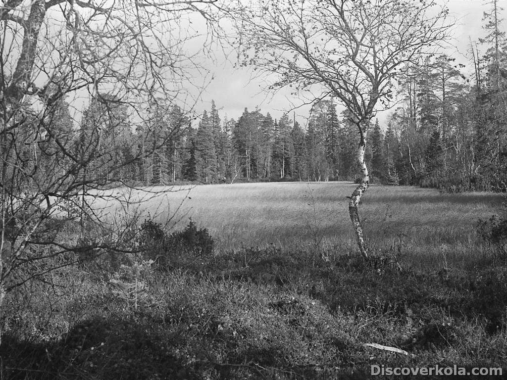 Теркий берег 1976: Умба, Оленица, Мыс Корабль 